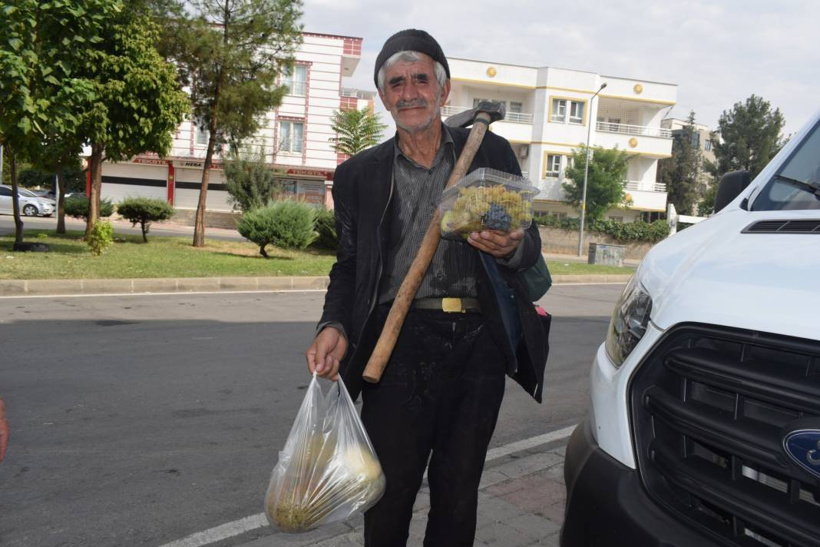 Tüccara inat! Çiftçi yürekleri de yeşertti - Fotoğraf: 5